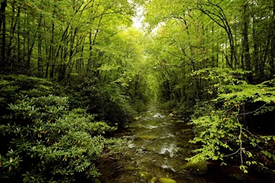 Japan Wallpapers HD With HD Wallpapers   Kemecer.com