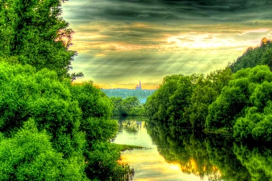 Dark Green Forest By The River Wallpaper_other_health Questions ...