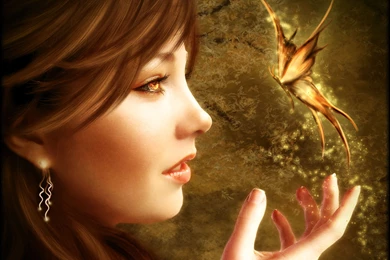 Butterflies Wallpapers