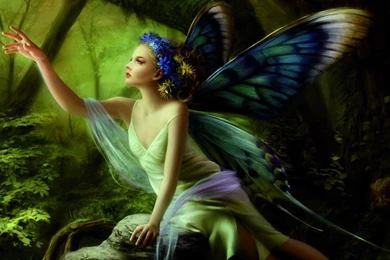Download Wallpapers 3840x2400 Girl, Wings, Butterfly, Wood, Flowers ...