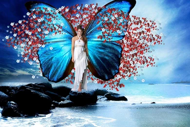 Butterfly Girl   (