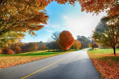 Road Nature Scenery Wallpapers In Resolution 1600x900 Choose Your ...