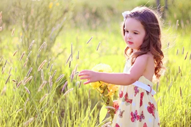 Beautiful Butterfly Girl With Grass Wallpapers   1680x1050   556858