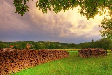 Meadow Summer Beautiful Natural Scenery Wallpapers   2560x1600 ...