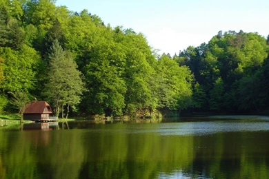 Natural Scenery Wallpapers Free Download 54889 Desktop Wallpapers ...