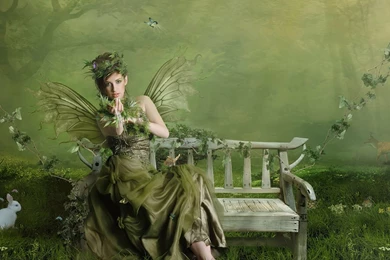 Green Butterfly Wings Girl Wallpapers
