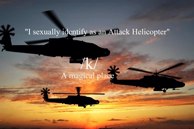 Blog : Titan Atelier