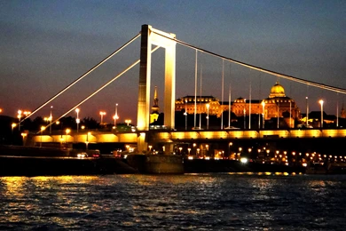 Elisabeth Bridge With Budapest Castle Hill In The Backgrounds ...