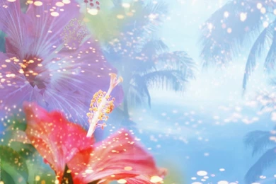 Sweet Flower Formspring Backgrounds, Sweet Flower Formspring ...