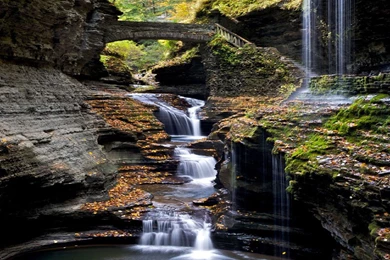 Hd Nature Images, Wallpapers Of Natures, Organic, Widescreen ...