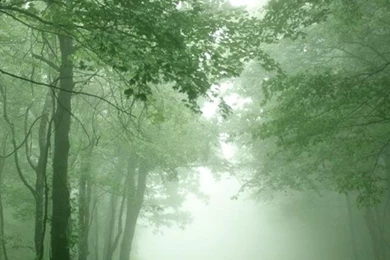 Hd nature good looking wallpapers iphone 5.jpg