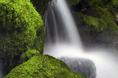 Live Green Waterfalls, 720x1280 Pixels : Wallpapers Tagged Cascade ...