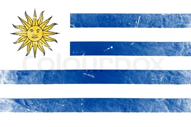 The Uruguayan Flag