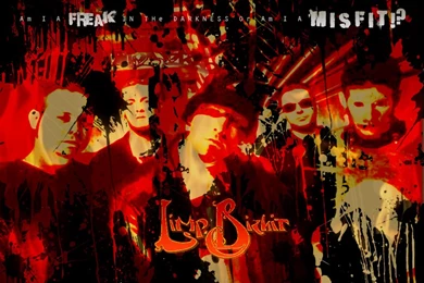 DeviantArt: More Like Limp Bizkit   Blind By Kishin