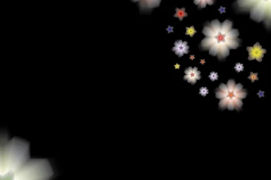 Flowers On Black Backgrounds   (