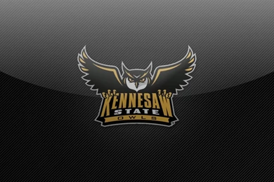 Kennesaw State Owls iPad Wallpapers   Colleges In Georgia