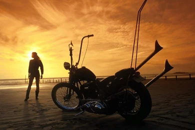 Harley Davidson Desktop Wallpapers