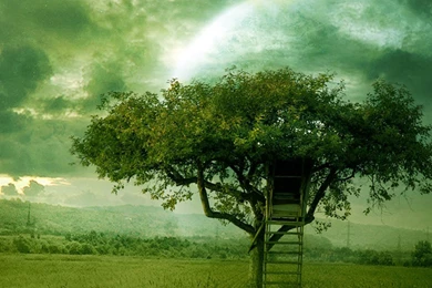 New World Tree House iPad Wallpapers Download