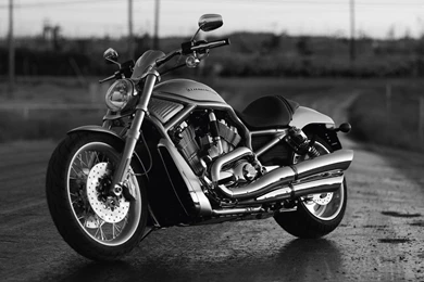 Harley Davidson HD Desktop Wallpapers