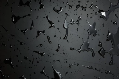 Wallpapers Hd For Android