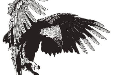 BANOG  Great Philippine Eagle By IamAxiom On DeviantArt