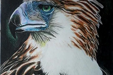 Philippine Eagle ( CRAYOLA CRAYONS ) By Blueprince312 On DeviantArt
