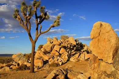 Free PC Wallpapers, Wallpapers For PC, PC Backgrounds, PC ...