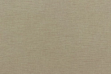 Designer Wallpapers B. B. Home Passion 4 Non woven Wallpapers 716917 ...