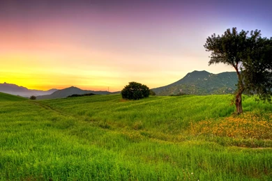 Nature Wallpaper: Summer Nature High Definition Wallpapers For HD ...