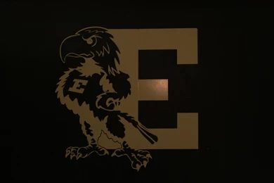 Wallpapers Wednesday: The Chest puffing Eagle   Eagle Totem Eagle Totem