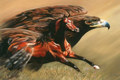 Download Golden Eagle Wallpapers High Quality Resolution