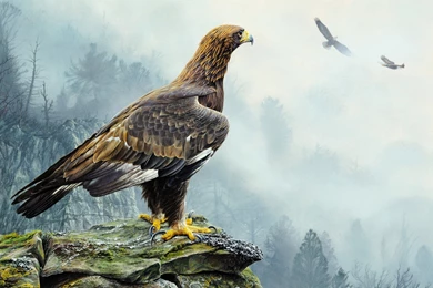 Alan M. Hunt Golden Eagle Pattern Poultry Eagle Flight Rock Tree ...
