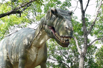 Tyrannosaurus Rex Wallpapers   Wallpapers Cave