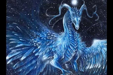 Ice Dragon Wallpapers Collections Attachment 10283   Amazing Wallpaperz