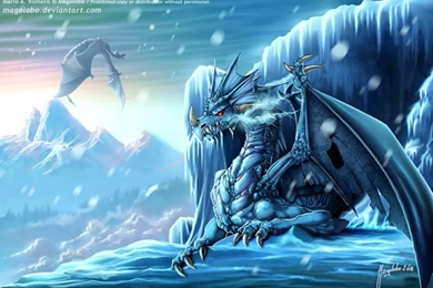 Snow Dragon Wallpapers