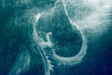 Ice Dragon Wallpapers By LostCrystal On DeviantArt