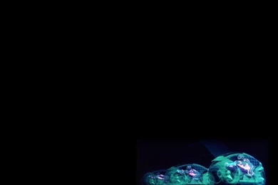 Tron Lightcycle Wallpapers