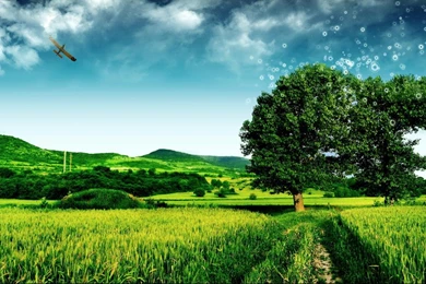 Windows 8 Hd Wallpapers 99148 Desktop Wallpapers