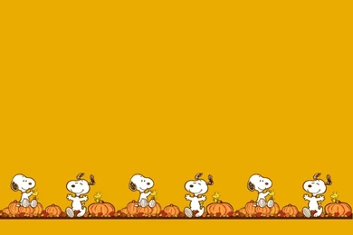 Peanuts Wallpapers For Computer 11362   Pacify Mind