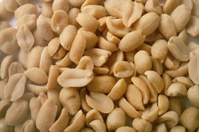 Free Wallpapers   Digital Photos