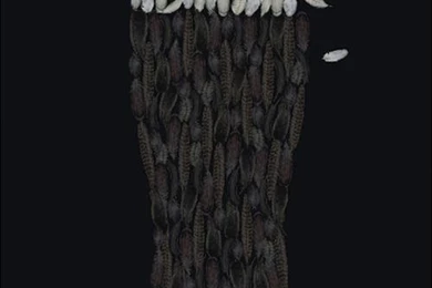 40+ Hot And Creative Alcohol Advertisements   Creative CanCreative Can