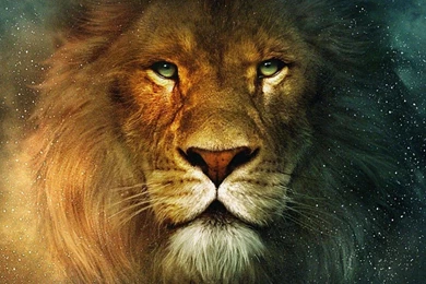 Fantastic Wallpapers 3.jpg