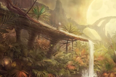 Fantastic Jungle HD Desktop Wallpapers : Widescreen : High ...