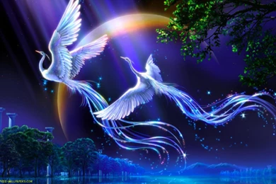 Fantastic Wings 3D & Digital Art Wallpapers   HD Wallpapers Download
