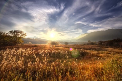 HD Lovely Sunbeam Wallpapers And Photos