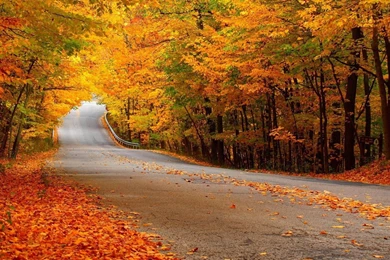 Road Autumn Wallpapers HD