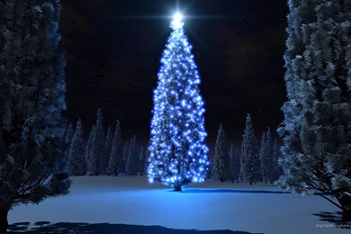 Create live wallpaper android 3 13919 HD Wallpapers