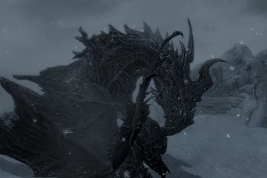 Download The Ebony Dragon Wallpaper, Ebony Dragon iPhone Wallpapers ...