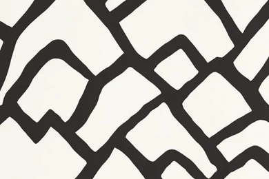 Schumacher Zimba Wallpapers Ebony