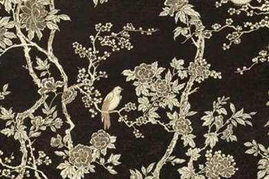 Ralph Lauren MARLOWE FLORAL EBONY Wallpapers